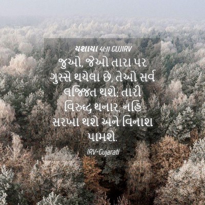 Picture 04 - યશાયા 41:11 GUJIRV - જુઓ, જેઓ તારા પર - Bible Verse Picture