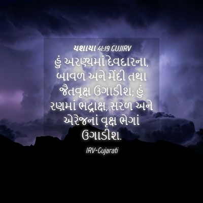 Picture 04 - યશાયા 41:19 GUJIRV - હું અરણ્યમાં - Bible Verse Picture