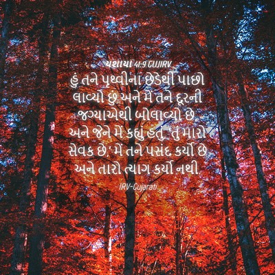 Picture 04 - યશાયા 41:9 GUJIRV - હું તને પૃથ્વીના - Bible Verse Picture