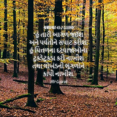 Picture 04 - યશાયા 45:2 GUJIRV - “હું તારી આગળ જઈશ - Bible Verse Picture