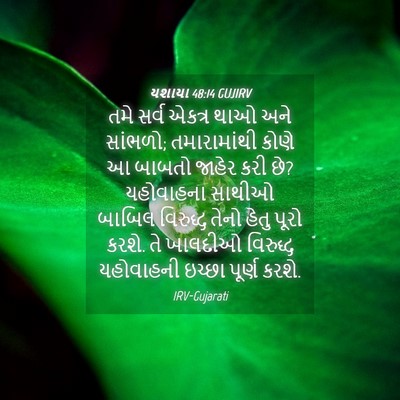 Picture 04 - યશાયા 48:14 GUJIRV - તમે સર્વ એકત્ર થાઓ - Bible Verse Picture