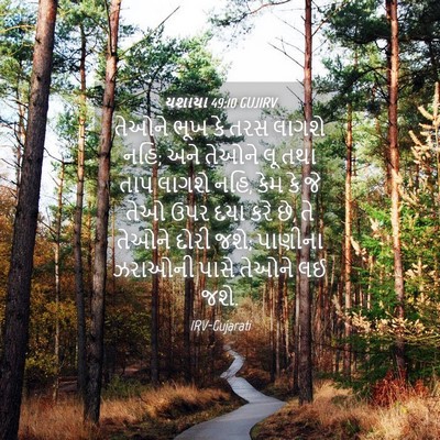Picture 04 - યશાયા 49:10 GUJIRV - તેઓને ભૂખ કે તરસ - Bible Verse Picture