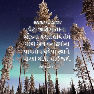 Picture 04 - યશાયા 5:17 GUJIRV - ઘેટાં જાણે પોતાના - Bible Verse Picture