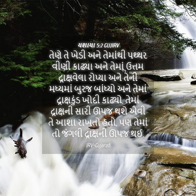 Picture 04 - યશાયા 5:2 GUJIRV - તેણે તે ખેડી અને - Bible Verse Picture