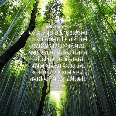 Picture 04 - યશાયા 50:1 GUJIRV - યહોવાહ પૂછે છે કે, - Bible Verse Picture
