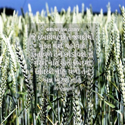 Picture 04 - યશાયા 51:14 GUJIRV - જે દબાયેલા છે તે - Bible Verse Picture