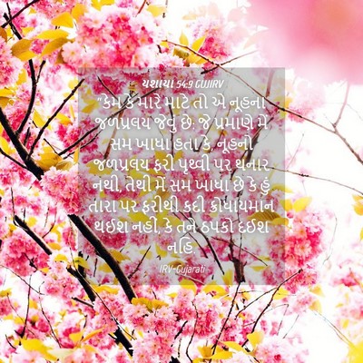Picture 04 - યશાયા 54:9 GUJIRV - “કેમ કે મારે માટે - Bible Verse Picture