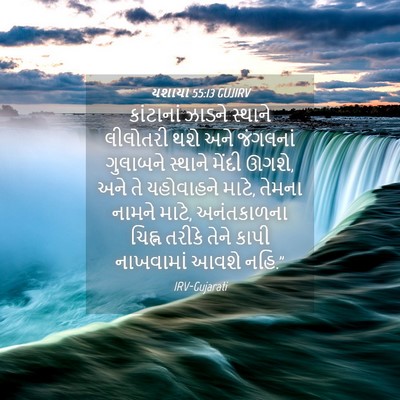 Picture 04 - યશાયા 55:13 GUJIRV - કાંટાનાં ઝાડને - Bible Verse Picture