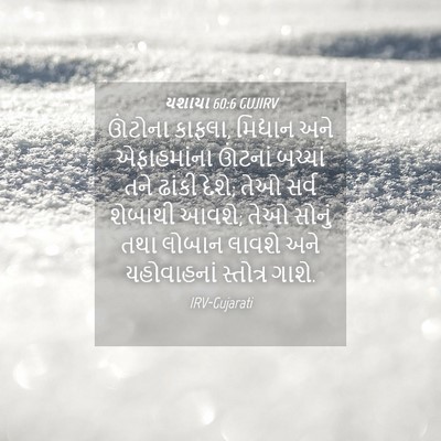 Picture 04 - યશાયા 60:6 GUJIRV - ઊંટોના કાફલા, - Bible Verse Picture