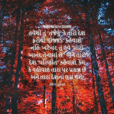 Picture 04 - યશાયા 62:4 GUJIRV - હવેથી તું - Bible Verse Picture