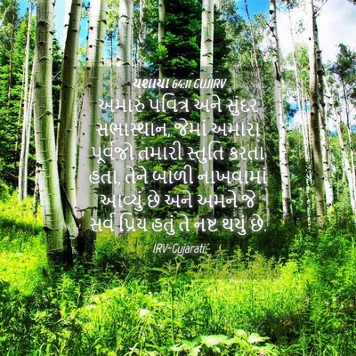 Picture 04 - યશાયા 64:11 GUJIRV - અમારું પવિત્ર અને - Bible Verse Picture