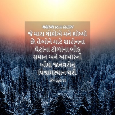 Picture 04 - યશાયા 65:10 GUJIRV - જે મારા લોકોએ મને - Bible Verse Picture