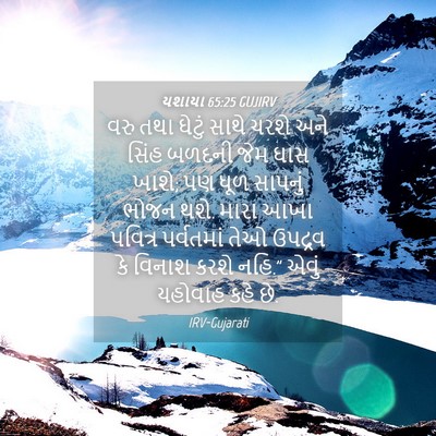 Picture 04 - યશાયા 65:25 GUJIRV - વરુ તથા ઘેટું સાથે - Bible Verse Picture