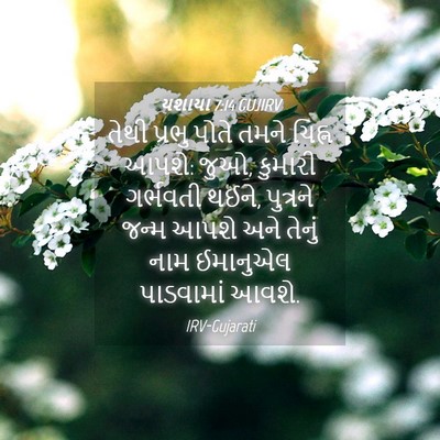 Picture 04 - યશાયા 7:14 GUJIRV - તેથી પ્રભુ પોતે - Bible Verse Picture