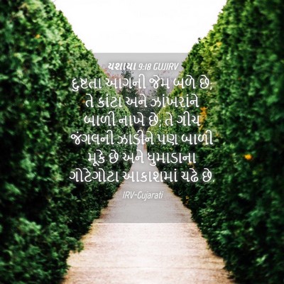 Picture 04 - યશાયા 9:18 GUJIRV - દુષ્ટતા આગની જેમ - Bible Verse Picture