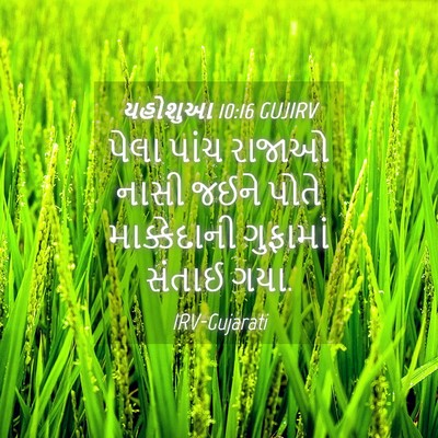 Picture 04 - યહોશુઆ 10:16 GUJIRV - પેલા પાંચ રાજાઓ - Bible Verse Picture