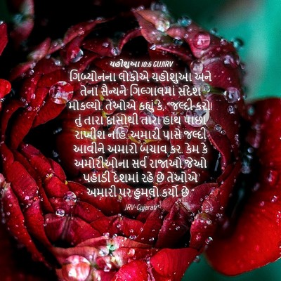 Picture 04 - યહોશુઆ 10:6 GUJIRV - ગિબ્યોનના લોકોએ - Bible Verse Picture