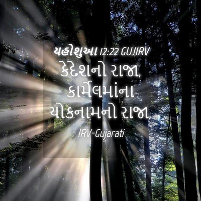 Picture 04 - યહોશુઆ 12:22 GUJIRV - કેદેશનો રાજા, - Bible Verse Picture