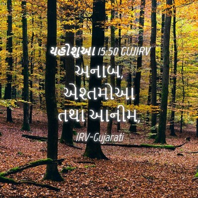 Picture 04 - યહોશુઆ 15:50 GUJIRV - અનાબ, એશ્તમોઆ તથા - Bible Verse Picture
