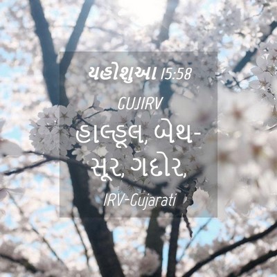 Picture 04 - યહોશુઆ 15:58 GUJIRV - હાલ્હૂલ, બેથ-સૂર, - Bible Verse Picture