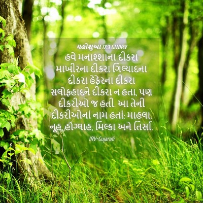 Picture 04 - યહોશુઆ 17:3 GUJIRV - હવે મનાશ્શાના - Bible Verse Picture