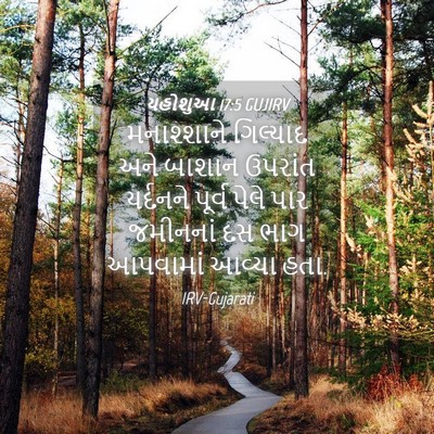 Picture 04 - યહોશુઆ 17:5 GUJIRV - મનાશ્શાને ગિલ્યાદ - Bible Verse Picture