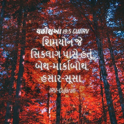 Picture 04 - યહોશુઆ 19:5 GUJIRV - શિમયોન જે સિકલાગ - Bible Verse Picture