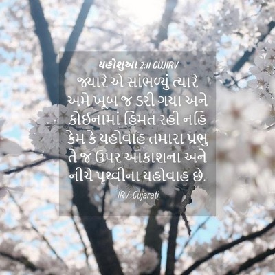 Picture 04 - યહોશુઆ 2:11 GUJIRV - જ્યારે એ - Bible Verse Picture