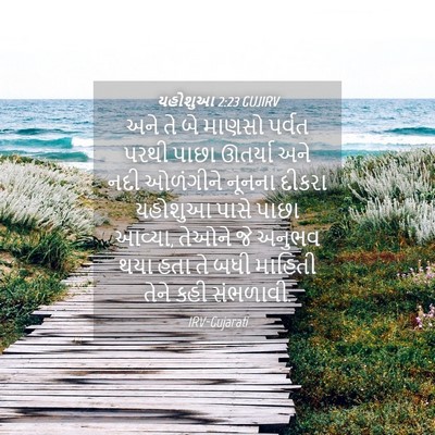 Picture 04 - યહોશુઆ 2:23 GUJIRV - અને તે બે માણસો - Bible Verse Picture