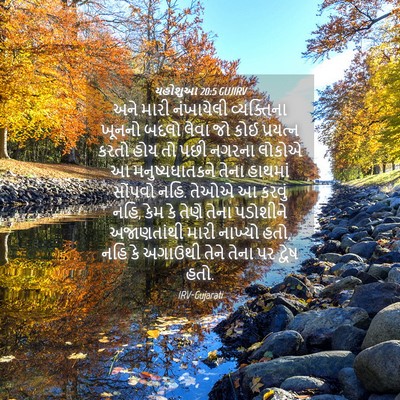 Picture 04 - યહોશુઆ 20:5 GUJIRV - અને મારી નંખાયેલી - Bible Verse Picture