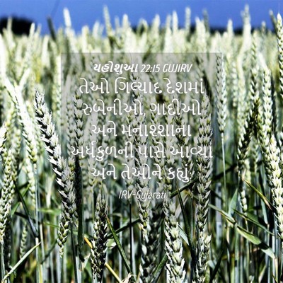 Picture 04 - યહોશુઆ 22:15 GUJIRV - તેઓ ગિલ્યાદ - Bible Verse Picture