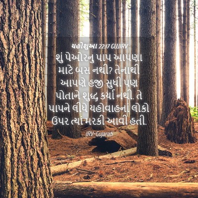 Picture 04 - યહોશુઆ 22:17 GUJIRV - શું પેઓરનુ પાપ - Bible Verse Picture
