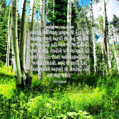 Picture 04 - યહોશુઆ 23:16 GUJIRV - તમારા યહોવાહ - Bible Verse Picture