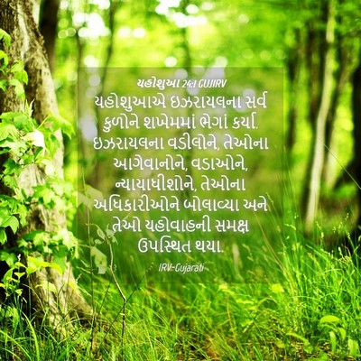 Picture 04 - યહોશુઆ 24:1 GUJIRV - યહોશુઆએ ઇઝરાયલના - Bible Verse Picture