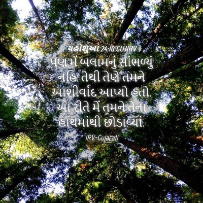 Picture 04 - યહોશુઆ 24:10 GUJIRV - પણ મેં બલામનું - Bible Verse Picture