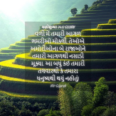 Picture 04 - યહોશુઆ 24:12 GUJIRV - વળી મેં તમારી આગળ - Bible Verse Picture