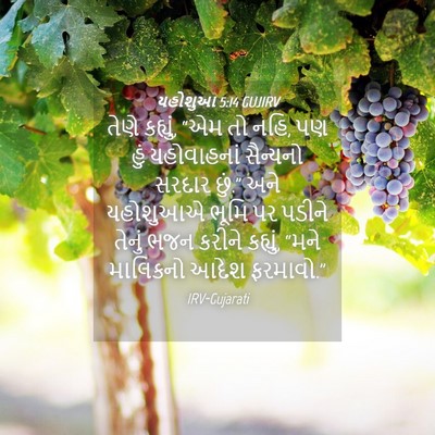 Picture 04 - યહોશુઆ 5:14 GUJIRV - તેણે કહ્યું, “એમ તો - Bible Verse Picture