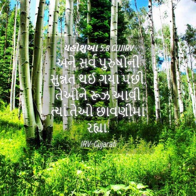 Picture 04 - યહોશુઆ 5:8 GUJIRV - અને સર્વ પુરુષોની - Bible Verse Picture