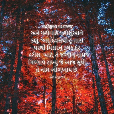 Picture 04 - યહોશુઆ 5:9 GUJIRV - અને યહોવાહે - Bible Verse Picture