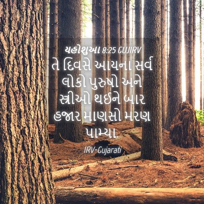 Picture 04 - યહોશુઆ 8:25 GUJIRV - તે દિવસે આયના સર્વ - Bible Verse Picture