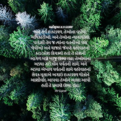 Picture 04 - યહોશુઆ 8:33 GUJIRV - અને સર્વ ઇઝરાયલ, - Bible Verse Picture
