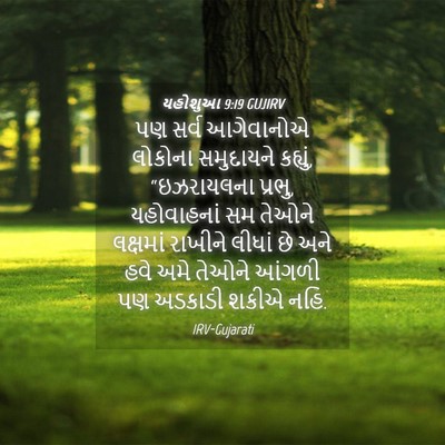 Picture 04 - યહોશુઆ 9:19 GUJIRV - પણ સર્વ આગેવાનોએ - Bible Verse Picture