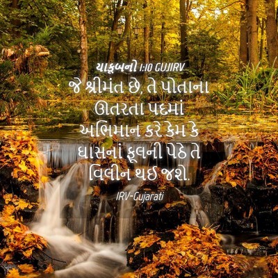 Picture 04 - યાકૂબનો 1:10 GUJIRV - જે શ્રીમંત છે, તે - Bible Verse Picture