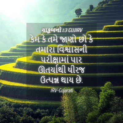 Picture 04 - યાકૂબનો 1:3 GUJIRV - કેમ કે તમે જાણો છો - Bible Verse Picture