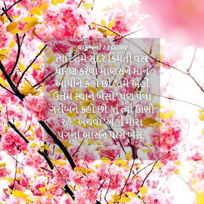 Picture 04 - યાકૂબનો 2:3 GUJIRV - ત્યારે તમે સુંદર - Bible Verse Picture
