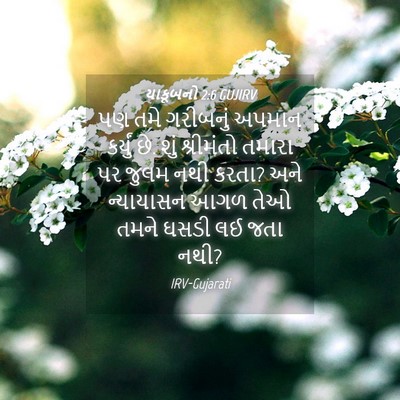 Picture 04 - યાકૂબનો 2:6 GUJIRV - પણ તમે ગરીબનું - Bible Verse Picture