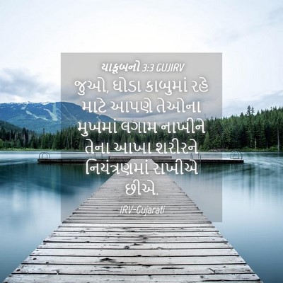 Picture 04 - યાકૂબનો 3:3 GUJIRV - જુઓ, ઘોડા કાબુમાં - Bible Verse Picture