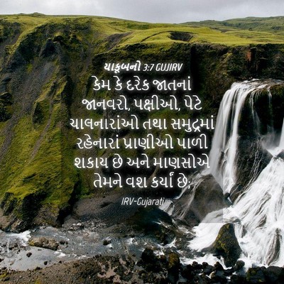 Picture 04 - યાકૂબનો 3:7 GUJIRV - કેમ કે દરેક જાતનાં - Bible Verse Picture