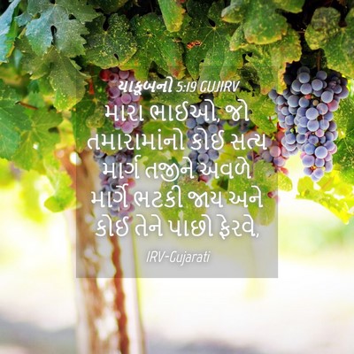 Picture 04 - યાકૂબનો 5:19 GUJIRV - મારા ભાઈઓ, જો - Bible Verse Picture
