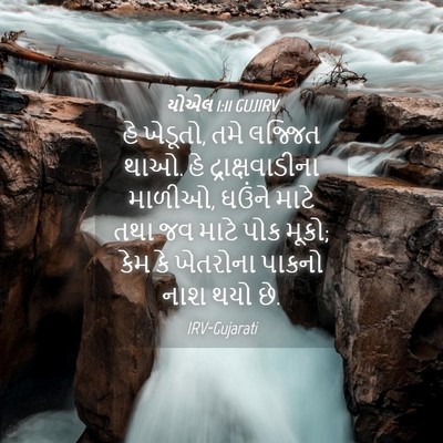 Picture 04 - યોએલ 1:11 GUJIRV - હે ખેડૂતો, તમે - Bible Verse Picture